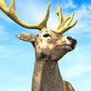 Hunting King: Wild Archery