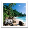 IBuilder