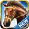 IHorse Betting