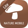 IKnow Mushrooms 2 LITE