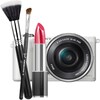 Image Search Activity