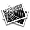 Image Search Download All