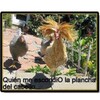 Imagenes Chistosas 3