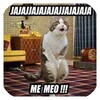 Imagenes De Divertidos Memes
