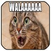 Imagenes De Humor 3
