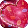 Imagenes Frases Lindas De Amor
