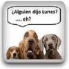 Imagenes Para Tu Messenger