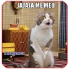Imagenes