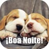 Imagens Com Frases De Boa Noite