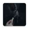 Images And Background Of The Squirrel 4k
