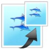Images Easy Resizer