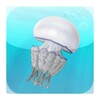 IMedJelly