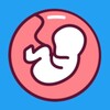 Incubator
