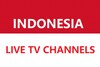 Indonesia Live Tv Channels
