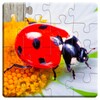 Insects Puzzle