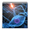 Iq Scanner