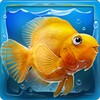 IQuarium
