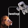Iwallop