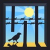 Jail Life