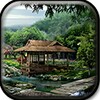 Japanese Garden 3D