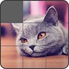 Jigsaw Puzzle: Cute Animals