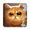 Jigsaw