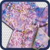 Jigsawnoi: Jigsaw Puzzles Redefined