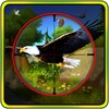 Jungle Birds Sniper Hunts