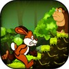Jungle Bunny Run