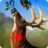 Jungle Deer Hunting 2016