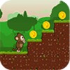 Jungle Monkey