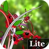 Jungle Of Flowers 3D Lite