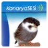 Kanaryasesi