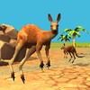 Kangaroo