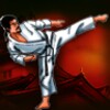 Karate Belt