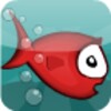 Kiki Fish
