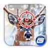 Kill Deer Winter