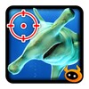 Kill Hammerhead Shark