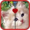 Kitten Zipper Screen Lock