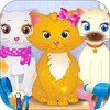 Kitty Grooming Salon