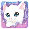 Kitty Play