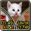 Kitty Zipper Screen Lock
