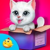 Kitty