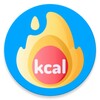KJ To Kcal Converter