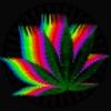 Know Your Weed