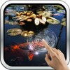Koi Fish In The Pond