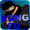Kung Fu Fighter