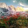 Landscape Photography 1