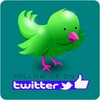 Largest Twitter Accounts