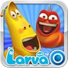 Larva